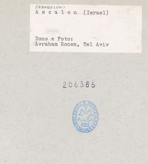 Rückseite von bh206385_recto