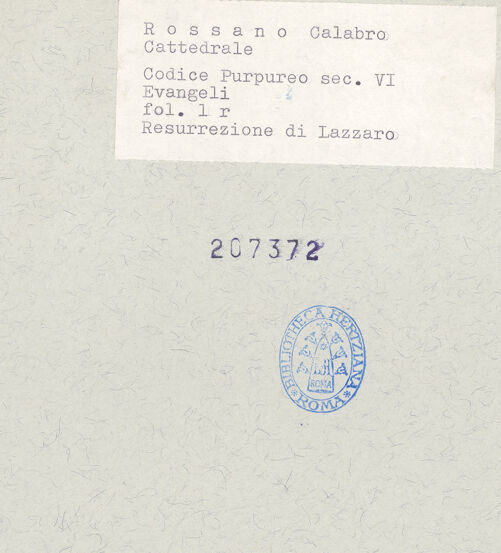 Rückseite von bh207372_recto