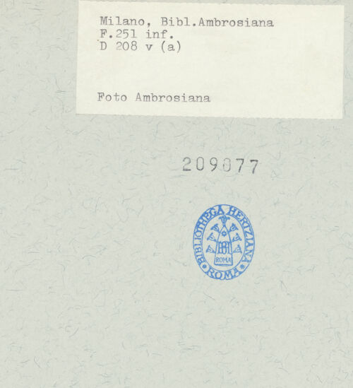 Rückseite von bh209077_recto