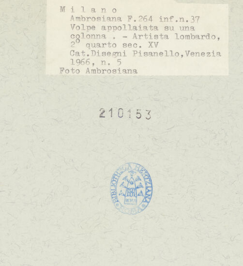 Rückseite von bh210153_recto