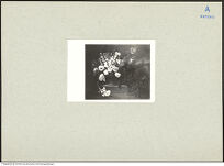 Thumbnail des 10. Ordners