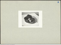 Thumbnail des 7. Ordners