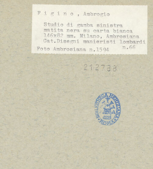 Rückseite von bh212788_recto