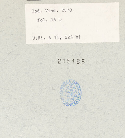 Rückseite von bh215185_recto