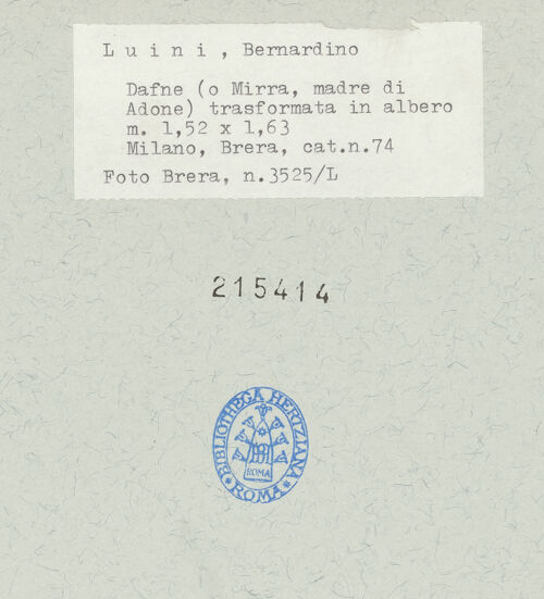 Rückseite von  [http://creativecommons.org/publicdomain/mark/1.0/] ... - , bh215414_recto. Foto.