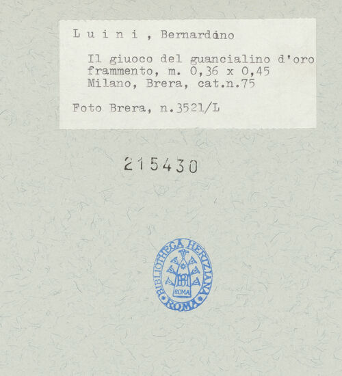 Rückseite von  [http://creativecommons.org/publicdomain/mark/1.0/] ... - , bh215430_recto. Foto.