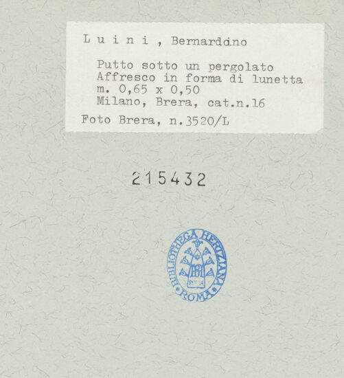 Rückseite von  [http://creativecommons.org/publicdomain/mark/1.0/] ... - , bh215432_recto. Foto.