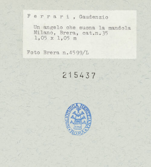 Rückseite von  [http://creativecommons.org/publicdomain/mark/1.0/] ... - , bh215437_recto. Foto.