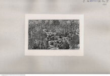 Thumbnail für 169-Zu-B-VII-Passavant