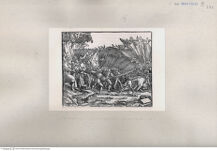 Thumbnail für 272-Zu-B-VII-p-366-367-C-Dodgson-II