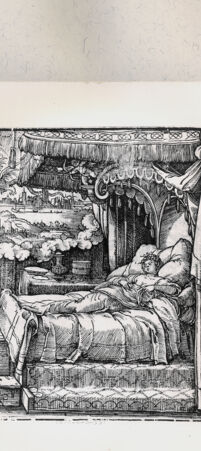 Rückseite von  [http://creativecommons.org/publicdomain/mark/1.0/] ... - , bh216196. Foto.