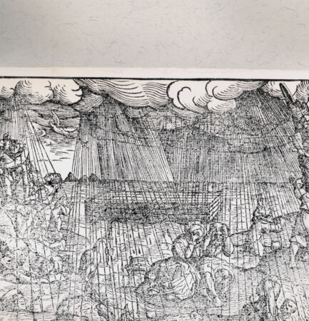 Rückseite von  [http://creativecommons.org/publicdomain/mark/1.0/] ... - , bh216380. Foto.