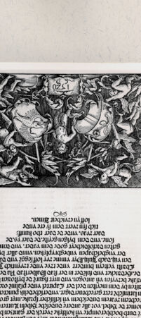 Rückseite von  [http://creativecommons.org/publicdomain/mark/1.0/] ... - , bh216394. Foto.