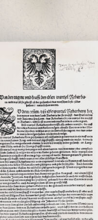 Rückseite von  [http://creativecommons.org/publicdomain/mark/1.0/] ... - , bh216396. Foto.