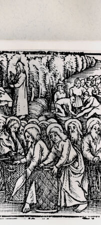 Rückseite von  [http://creativecommons.org/publicdomain/mark/1.0/] ... - , bh216532. Foto.