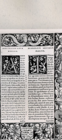 Rückseite von  [http://creativecommons.org/publicdomain/mark/1.0/] ... - , bh216556. Foto.