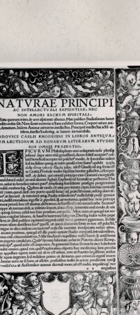 Rückseite von  [http://creativecommons.org/publicdomain/mark/1.0/] ... - , bh216558. Foto.