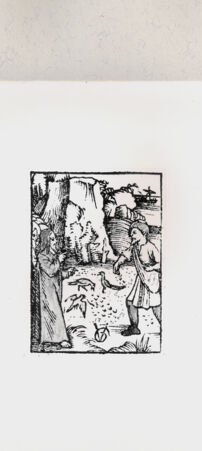 Rückseite von  [http://creativecommons.org/publicdomain/mark/1.0/] ... - , bh216587. Foto.