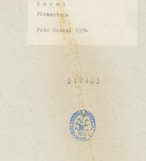 Rückseite von bh217903_recto