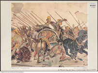 Thumbnail des zweiten Ordners