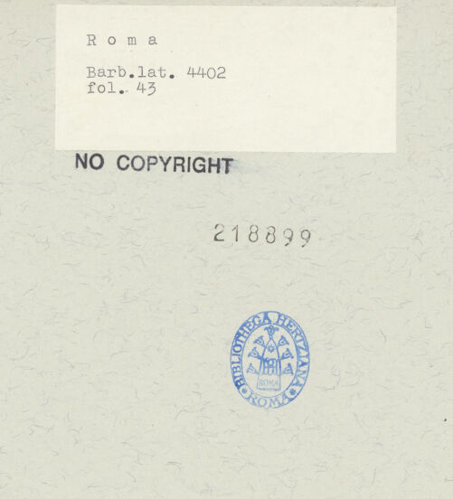 Rückseite von bh218899_recto