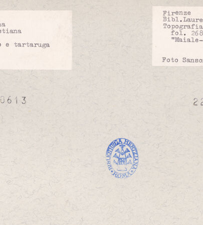 Rückseite von bh220613_bh220614_recto