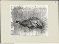 Thumbnail für Gemito, Vincenzo - Genga, Girolamo