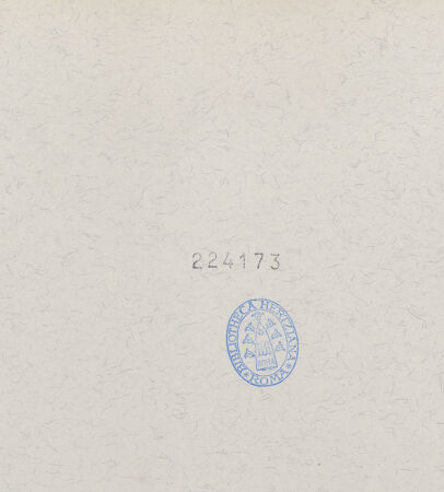 Rückseite von Alinari [https://www.deutsche-digitale-bibliothek.de/content/lizenzen/rv-ez/] Corso Vittorio Emanuele - Ansicht von Norden (vor dem Erdbeben), bh224173_recto. Foto.