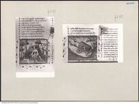 Thumbnail des fünften Ordners