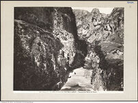 Thumbnail des 8. Ordners