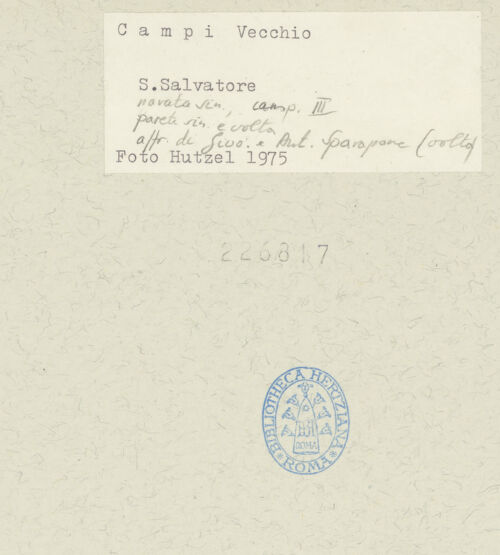 Rückseite von bh226817_recto