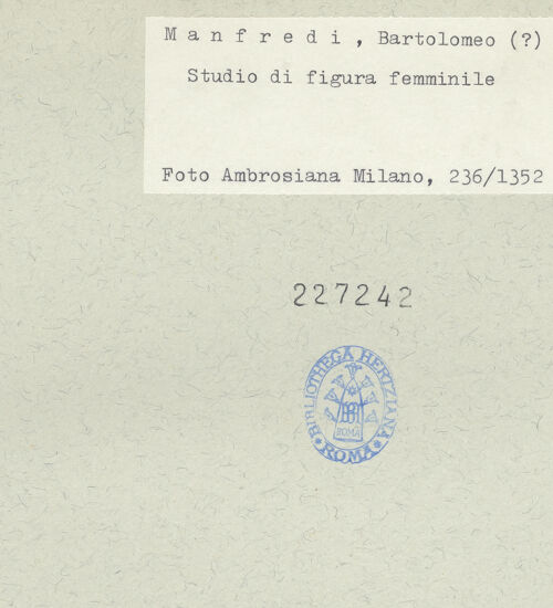 Rückseite von bh227242_recto