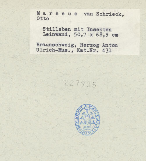 Rückseite von bh227905_recto