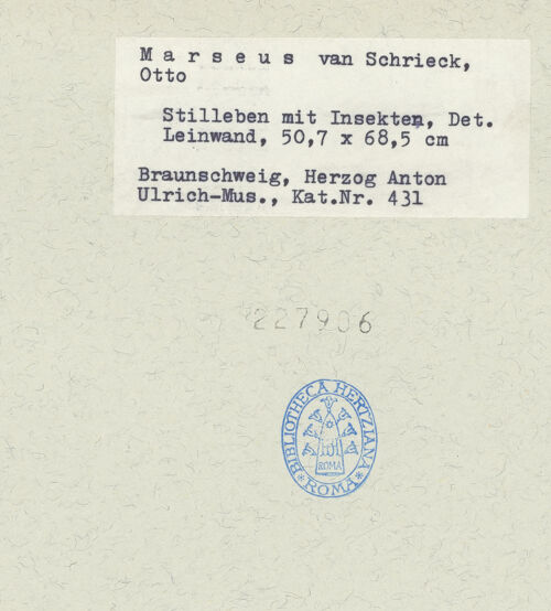 Rückseite von bh227986_recto