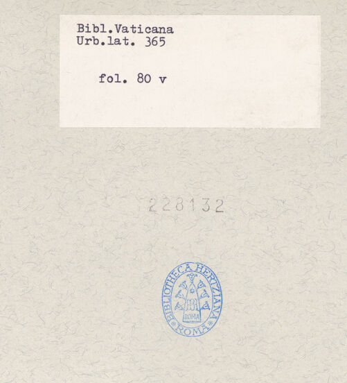 Rückseite von bh228132_recto