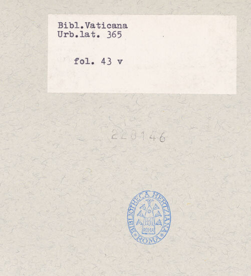 Rückseite von bh228146_recto