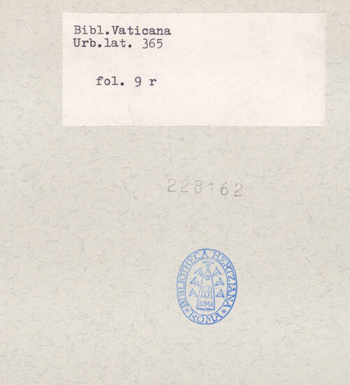 Rückseite von bh228162_recto