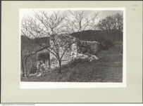 Thumbnail des ersten Ordners