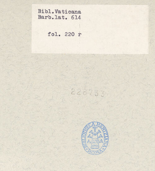 Rückseite von bh228733_recto