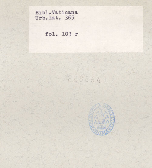 Rückseite von bh228864_recto