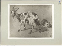 Thumbnail des 7. Ordners