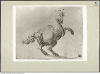 Thumbnail des 6. Ordners