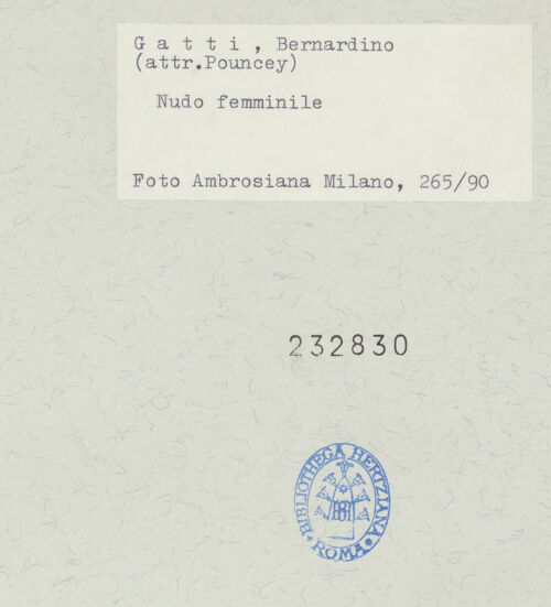 Rückseite von bh232830_recto