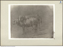 Thumbnail des dritten Ordners