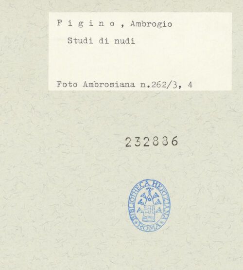 Rückseite von bh232886_recto