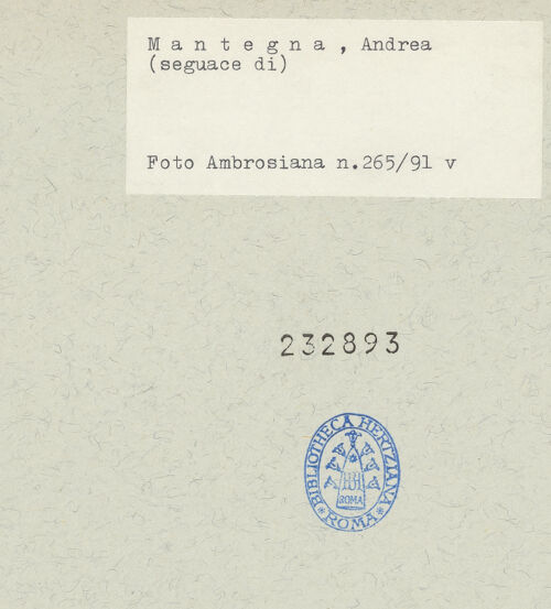 Rückseite von bh232893_recto