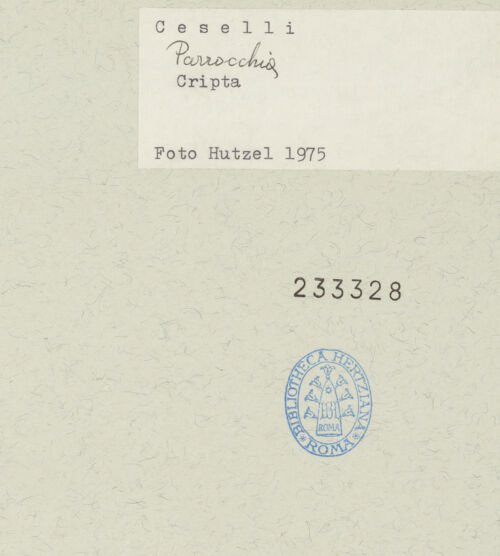 Rückseite von bh233328_recto