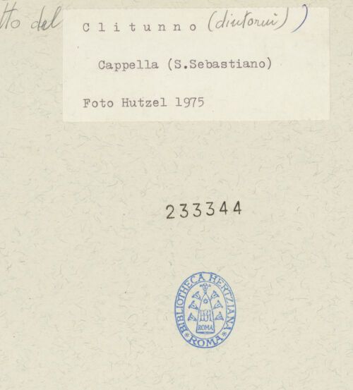 Rückseite von bh233344_recto