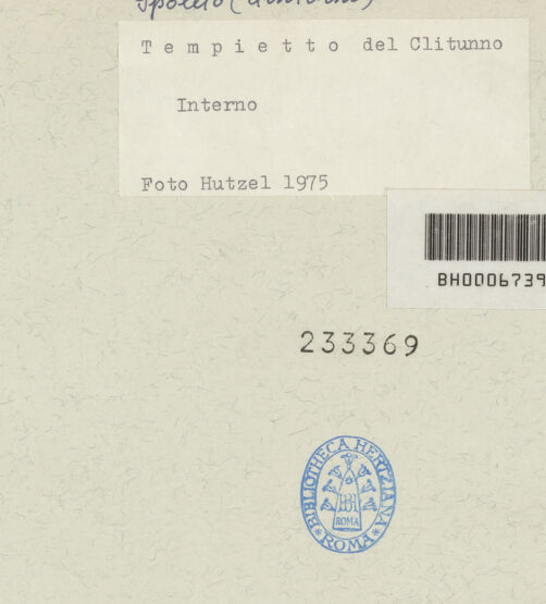 Rückseite von bh233369_recto