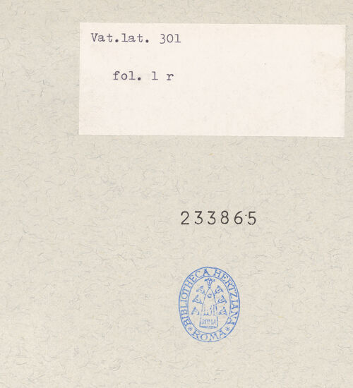 Rückseite von bh233865_recto